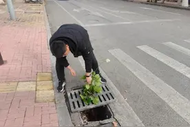 雨箅子掉落存在安全隐患！热心市民放树枝警示，相关部门及时维修图片