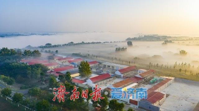 雾绘丹青，仙境黄河