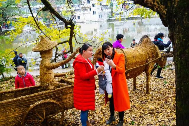 千年银杏韵，金黄满地诗，金色海洋游玩攻略来了！