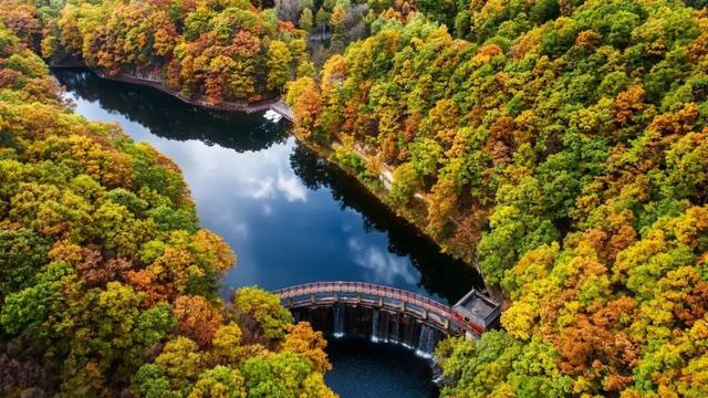 免门票福利！白云山绝美秋色正在上映→