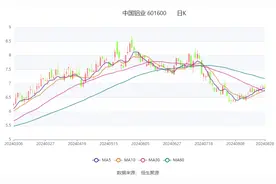 中国铝业：2024年上半年净利润同比增长105.36% 拟10派0.82元图片