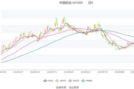 中国铝业：2024年上半年净利润同比增长105.36% 拟10派0.82元图片