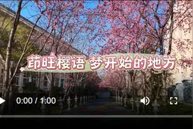 茚旺樱语 梦开始的地方图片