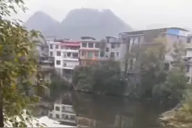 重庆一河流出现大量死鱼死虾？官方回应：系有人毒鱼，已介入调查图片