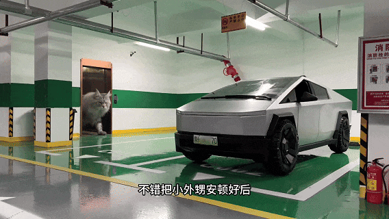 博主为猫咪打造专属地铁，网友：以为是AI，结果是手作？