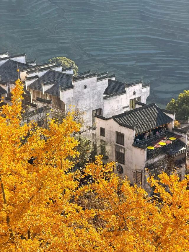 上饶荣登错峰赏秋热门目的地！跨年、寒假、春节连档，邀你共赴冬日诗意之旅