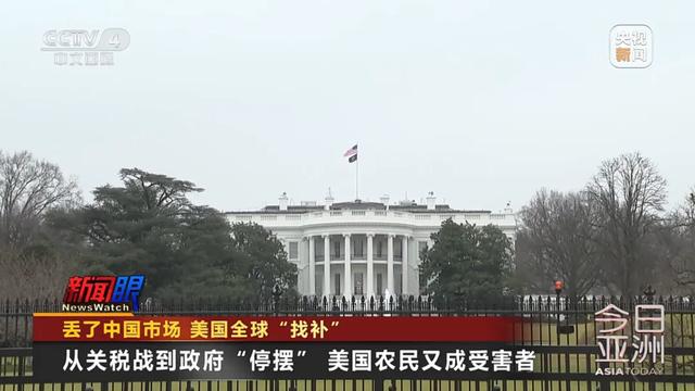 “中国一粒都没买”！大豆滞销，美国农民卖设备维持生计，“对特朗普的忠诚将接受考验”！特朗普满世界找买家，美协会急了：赶紧和中国谈