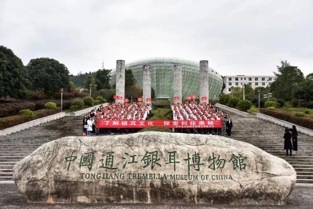 跨越山河，携手共赢！通江文旅走进甘肃庆阳