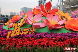 从千年花田到现代花街，花城广州迎来美丽时刻图片