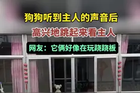 狗狗听到主人的声音后，高兴地跳起来看主人，网友：它俩好像在玩跷跷板。图片