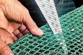 用“绝户网”捕鱼？渔网变法网！图片