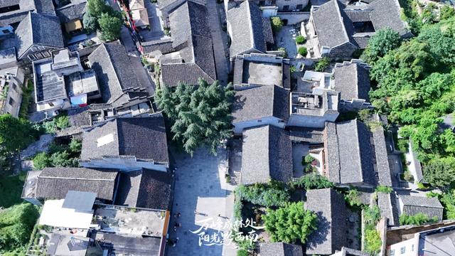 黔西南州副州长代乐：借力花江峡谷大桥打造贵州西线黄金旅游带，推动大桥流量转化为“旅游留量”和“消费增量”