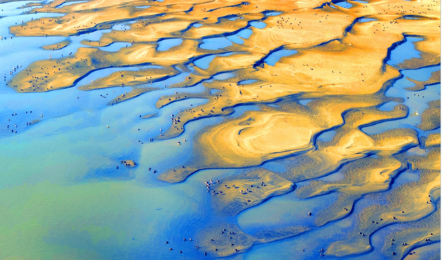 候鸟栖息铁锚洲 十年禁渔成美景