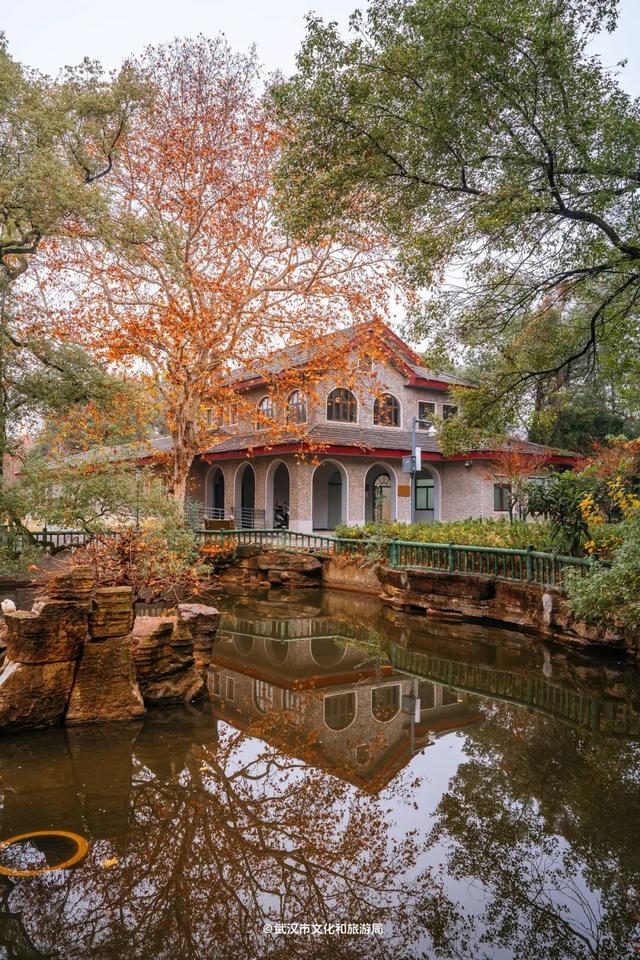 武汉为百年古树建公园，免费开放！