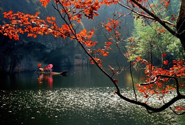 跟着演唱会游三明 | “音综王牌+世遗美景”，梦幻联动来了！到三明泰宁一起嗨不停！