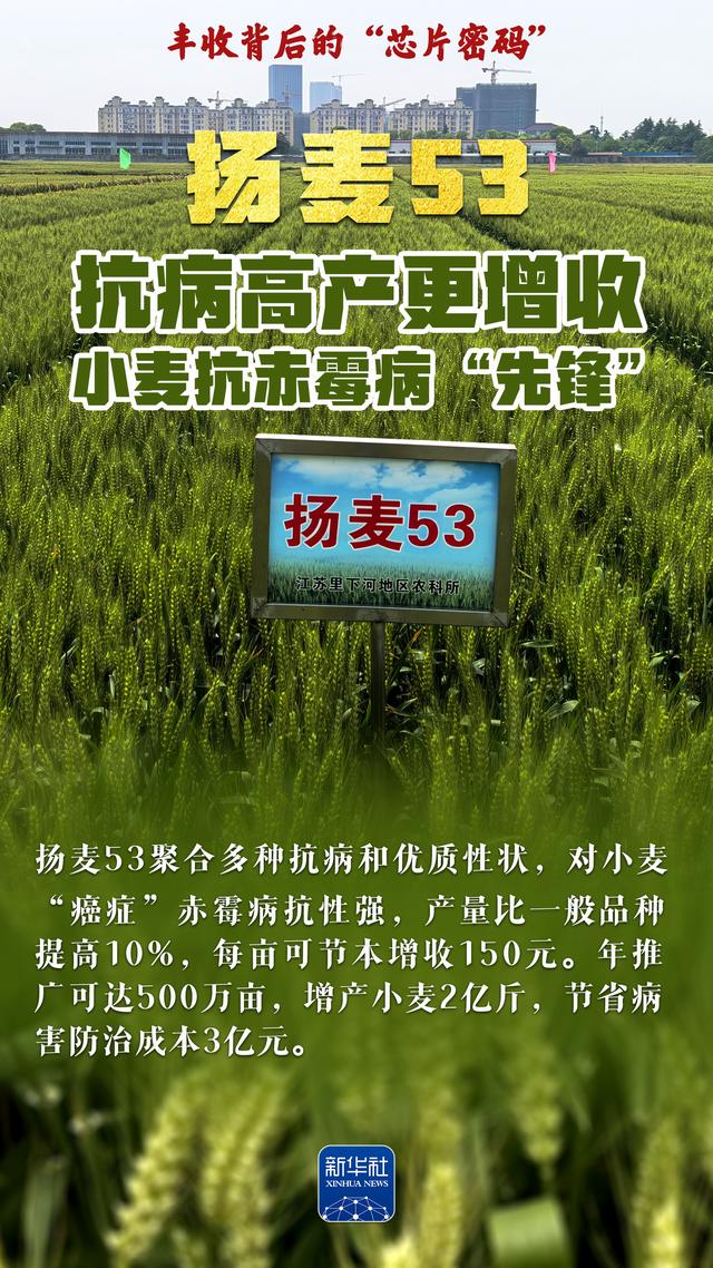 丰收背后的“芯片密码”