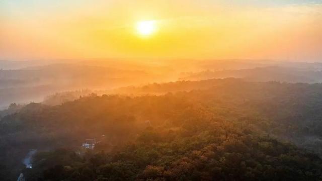 藏不住了！看一眼就“沦陷”！