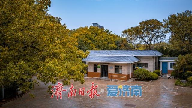 泉城公园秋日景色正当时 济南市民休闲赏秋绝佳去处