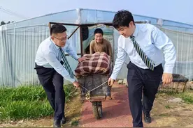 邮政“丰收宝＋丰收码”，潍坊菜农速收款图片