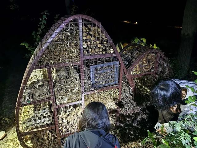 夜晚，我们在公园里“找宝藏”