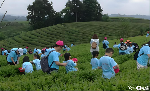 普遍服务 | “满格网”点亮贵州山水！播州太阳坪、湄潭茶海告别通信盲区焕新生