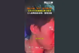 网红小猫“悟空”去世 主人凌晨求助：想给它找个冰箱图片