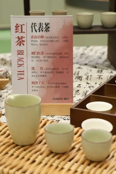 茉莉花开，香缘美好！赴一场茶香满溢的新年之约