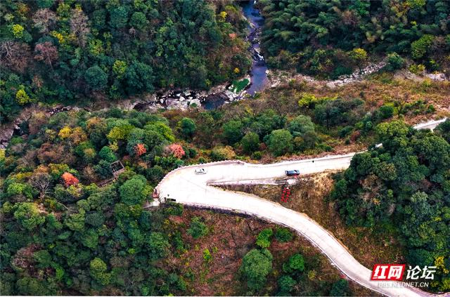 从“十八拐”到齐眉界，一条森林公园里的红色风景线