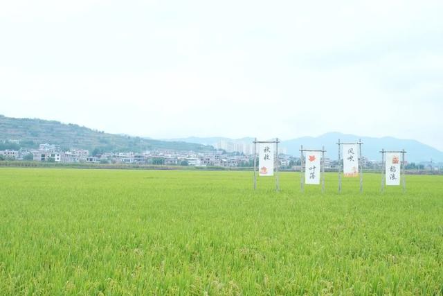 全国媒体达人云南行｜解锁“旅居昭通” 新魅力，国庆游攻略→
