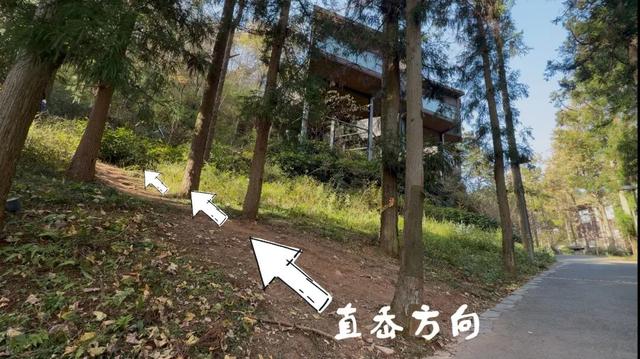 Hi走奉化③ | 拿下最高峰！蜘蛛岭古道虽累，但这秋色值了！