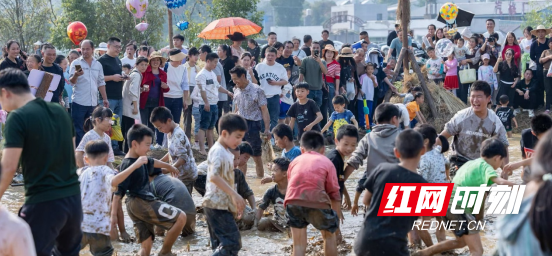 11月15日！宁乡金洲镇这场稻田音乐会，“村超”“村BA”球星陪你嗨