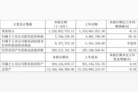 中央商场：2023年上半年净利润776.67万元 同比增长58.45%图片