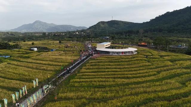 多图+视频！一起回看2025年白沙“啦奥门”雨林与您山兰文化活动精彩瞬间