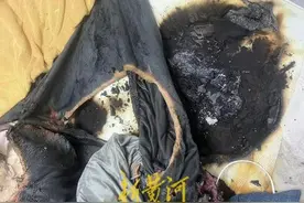 自燃艾灸毯被下架！部门回应：仁和运动旗舰店销售假冒产品，将移交属地监管部门处理图片