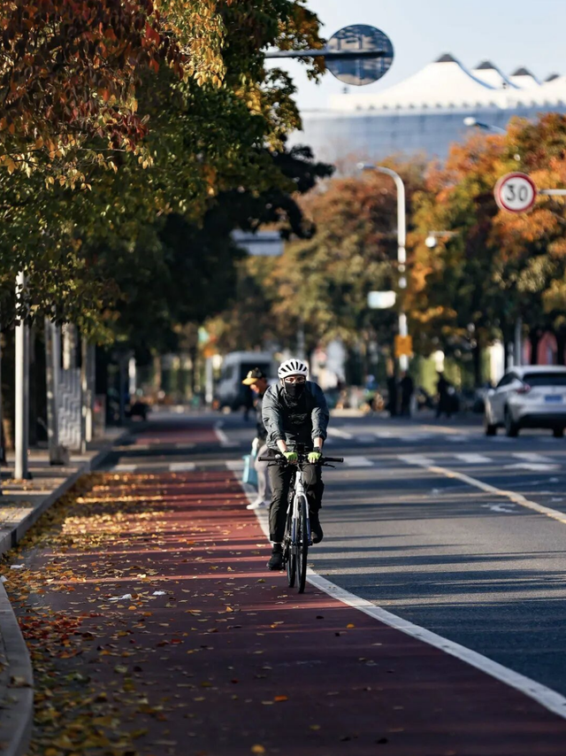 最佳季节！上海市中心也有人少景美骑行线