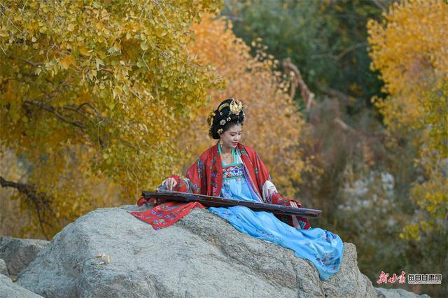 敦煌：秋染悬泉谷 胡杨绘画卷