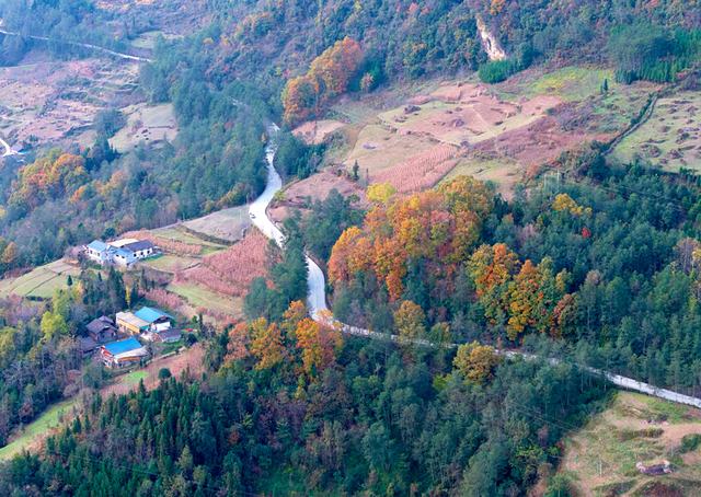 青睐绵阳 ‖ 云端公路 层林尽染！初冬驾游平武药丛山，限定版的视觉盛宴~