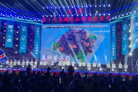 云县第十七届澜沧江啤酒狂欢节举行图片