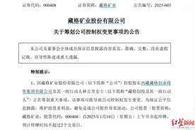 紫金矿业拟入主藏格矿业，四川富豪肖永明让位图片