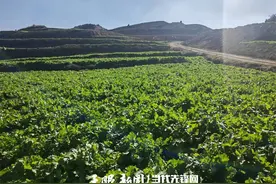 【生态资讯】赫章县今年目标完成新增耕地指标一万亩图片