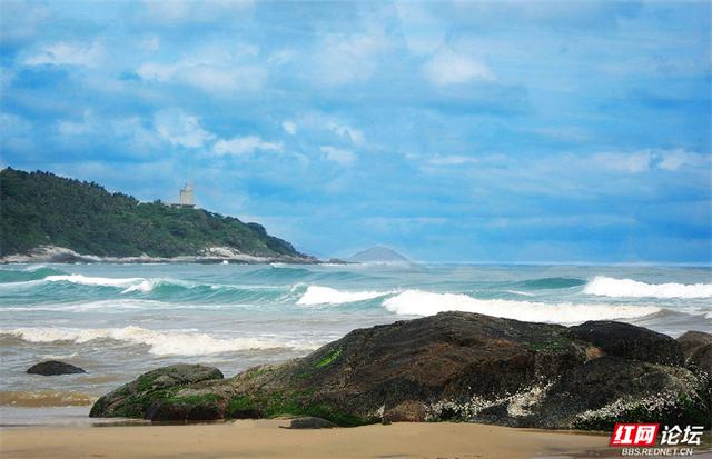 秋游时刻丨秋意正浓，海南正好