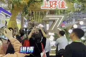 进博会惊现人肉抓娃娃机 你能抓多少？图片