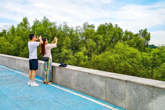 抓住节日的尾巴，缓游、慢游、悠游南沙~