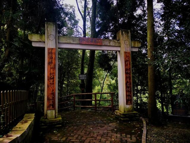 兴听普安||茶韵画境马家坪