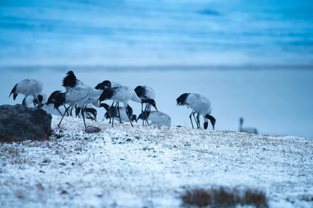 12月，去云南→踏雪而行，向山而去