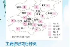 今日北京花粉浓度较高 敏感人群请加强防护图片