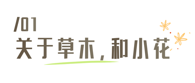 最好的秋天，在华师！