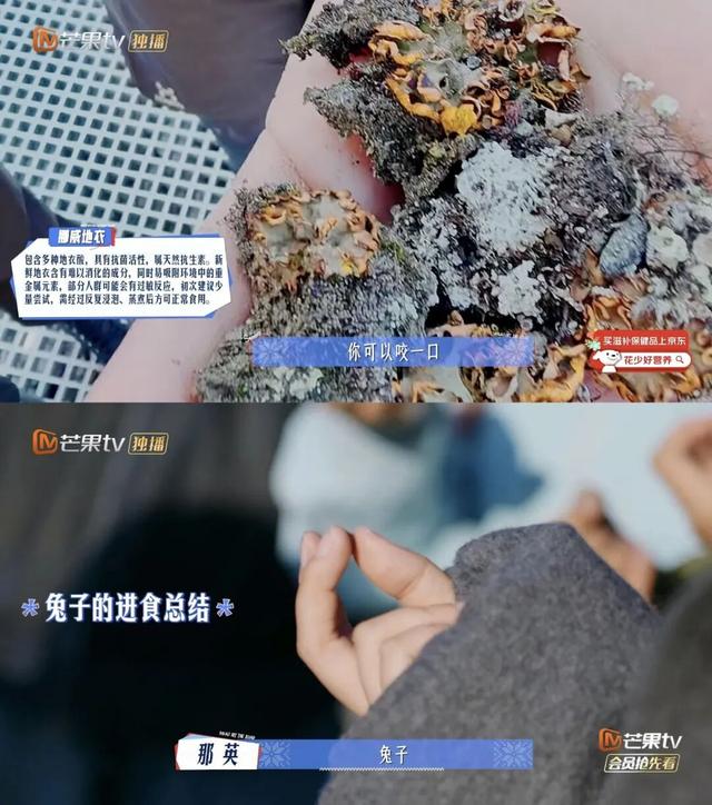 全网最快！请收下这份《花少7》同款挪威攻略