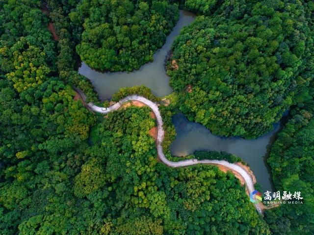 我想离开浪浪山，去高明看看！