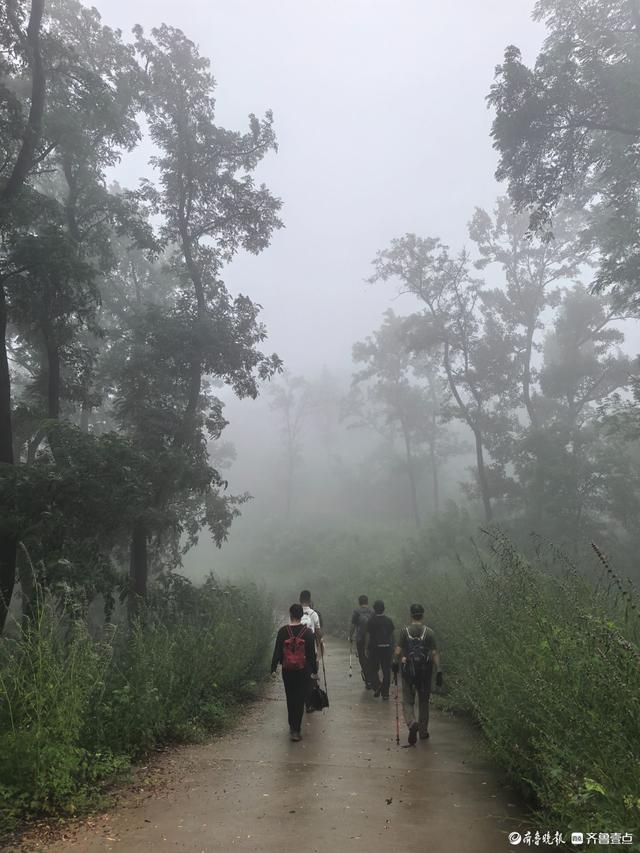 周末的药乡国家森林公园，云雾缭绕恍如仙境